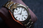 Grand Seiko SBGX067 37mm Full Titanium Rare White structure Texture Dial